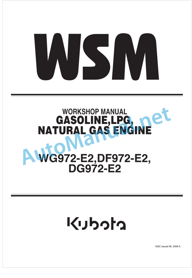 Kubota WG972-E2, DF972-E2, DG972-E2 Gasoline LPG Natural Gas Engine Workshop Manual PDF
